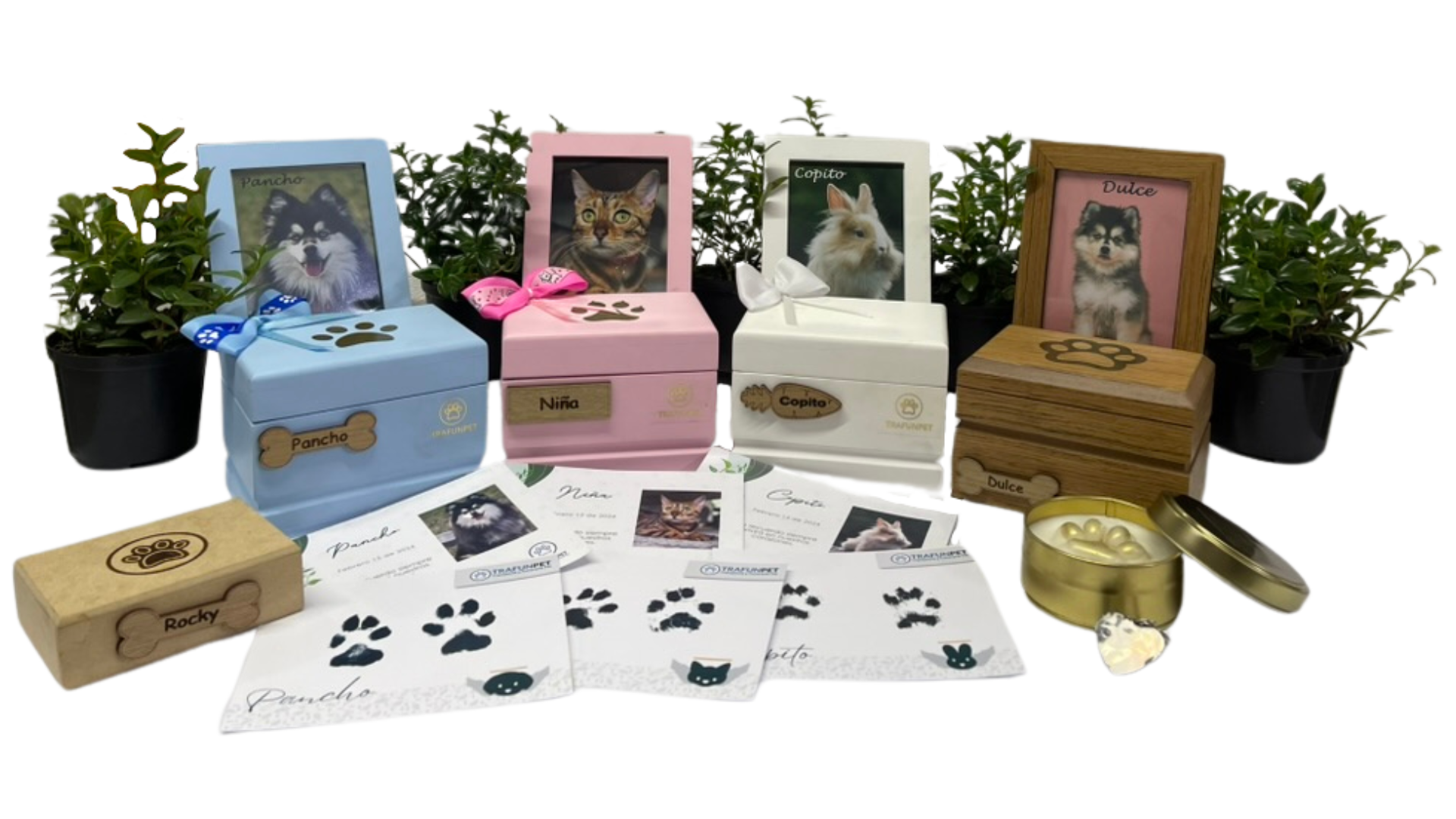 funeral-pet-medellin-trafunpet-funeraria-de-mascotas